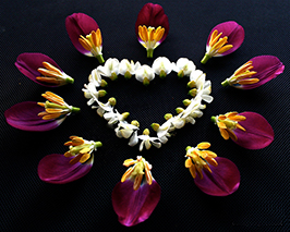 flowers_heart